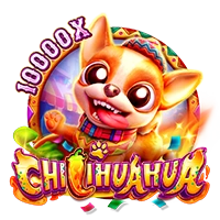 Facai : CHILIHUAHUA - KISS69