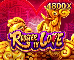 JDB : Rooster In Love - KISS69